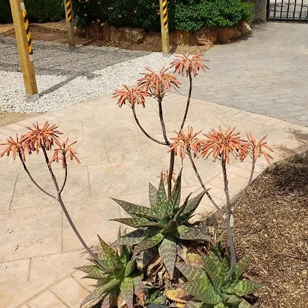 Casa Breizh Gasthof Monserrat