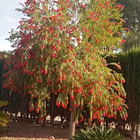 Casa Breizh Gasthof Monserrat