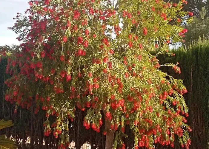 Casa Breizh Πανσιόν Monserrat