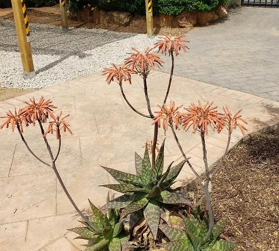 Casa Breizh Πανσιόν Monserrat